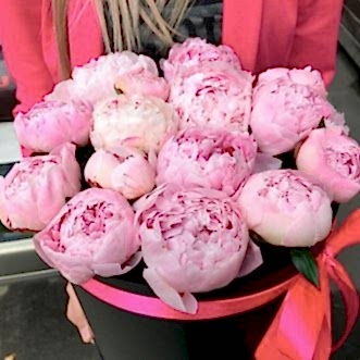 15 розовых пионов в коробке