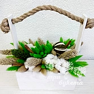 Хлопок и зеленый лагурус в ящике
