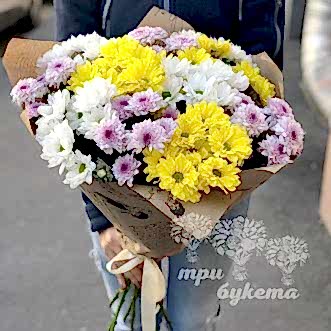 Желтые и белые хризантемы