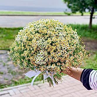 Пышный букет кустовых хризантем и ромашек