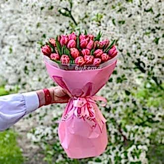 Букет из 33 ярких розовых тюльпанов